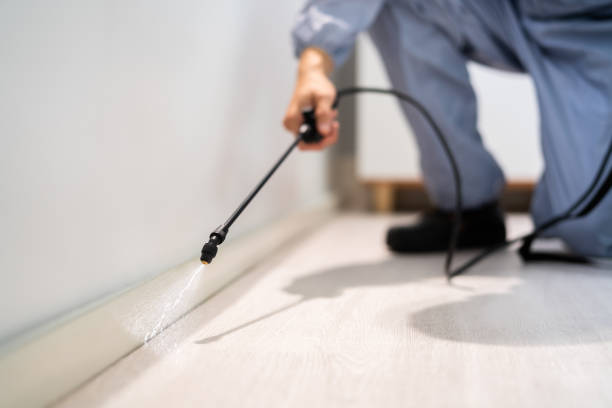 Bed Bug Pre-Treatment Preparation Assessment in Tupelo